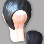 Human's head model seen from the backside, painted version