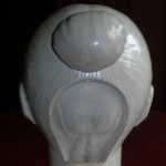 Human's head model seen from the backside