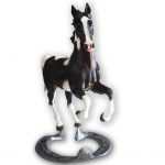 Horse model for collector